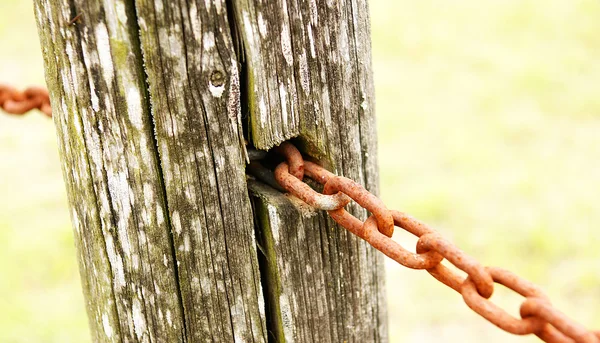 Detail of stake with rusty chains — Stock Photo, Image