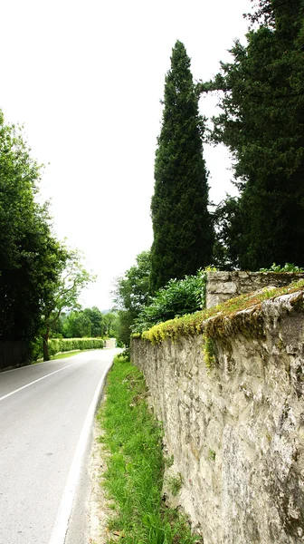 Carretera local en Porqueres — Foto de Stock