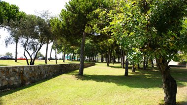 bir parkta Arboleda