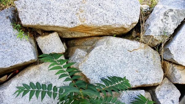 Muur van stenen — Stockfoto