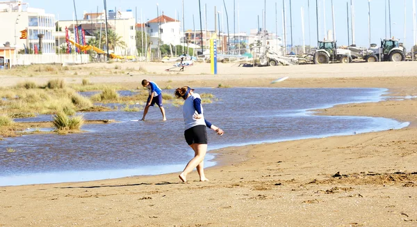 Mästerskapet av frisbee — Stockfoto