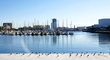 Teknelerden Fuste moll ile panoramik