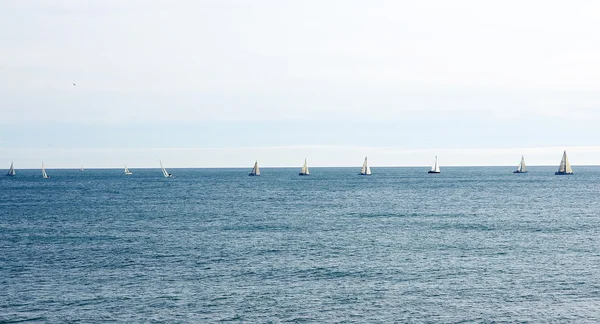 Panoramisch Oceaan met zeilboten op de horizon — Stockfoto