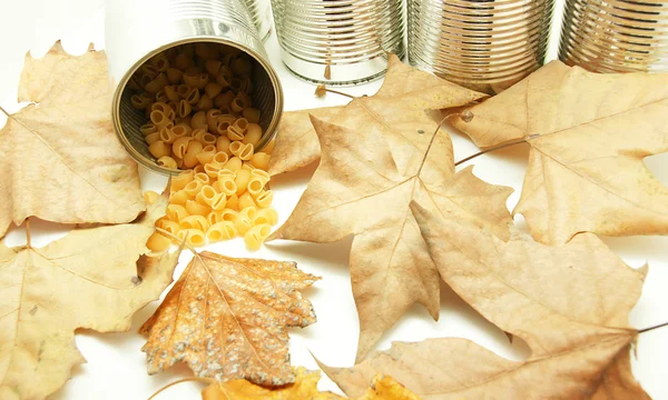 Консервированные раковины макарон на фоне листьев — стоковое фото