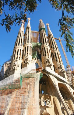 Gaudí 'nin Sagrada Familia Tapınağı veya Kilisesi