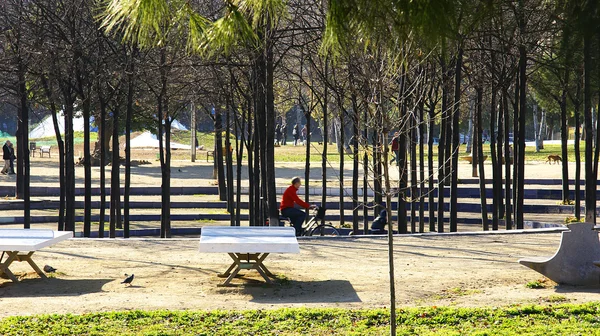 Park Kuzey İstasyonu — Stok fotoğraf