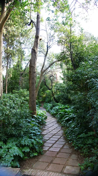 Droga w ogrodach la tamarita — Zdjęcie stockowe