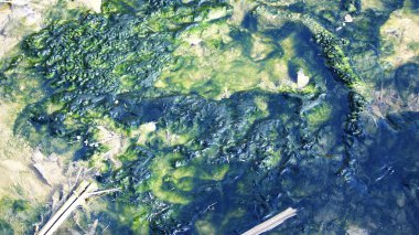 Su ayakta ve arka planlar ve dokular için bozuk