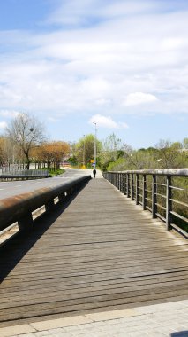 Collblanc Köprüsü