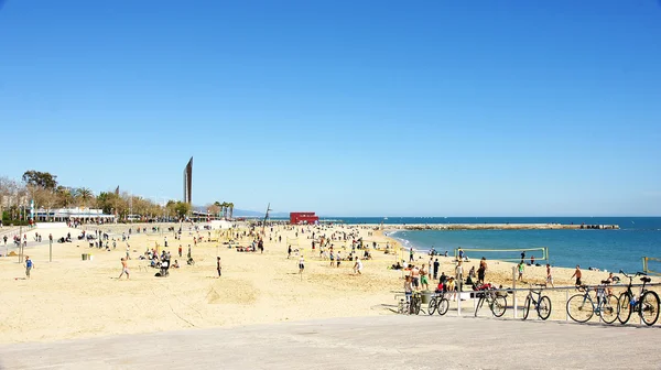 Fahrräder in nova icaria beach — Stockfoto