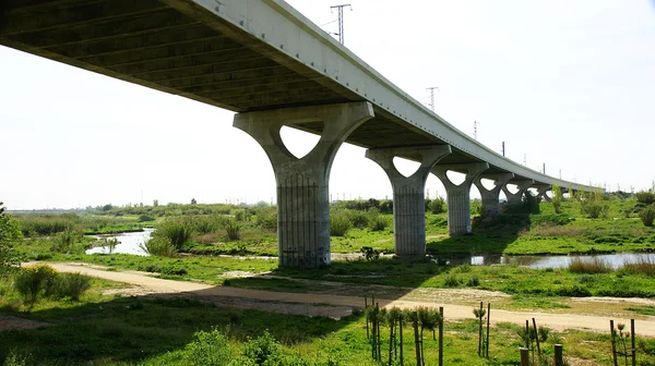 Pillars of a bridge in the Delta of Llobregat — Stock Photo, Image