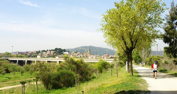 Parco del Delta del Llobregat con Sant Boi de Llobregat — Foto Stock