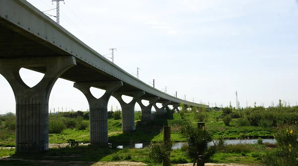 Ponte ferroviario nel Delta del Llobregat — Foto Stock
