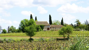 vilafranca del penedes üzüm bağları alanları