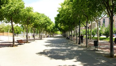 Promenade the gardens of Can Dragó clipart