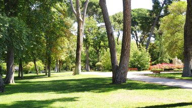 Madrid retiro park genel bakış