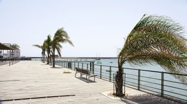 arrecife Park