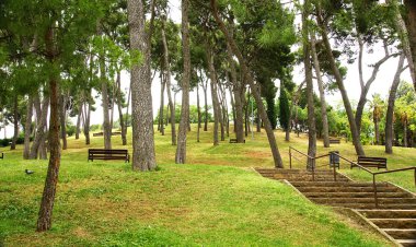 Turo park dağ peira