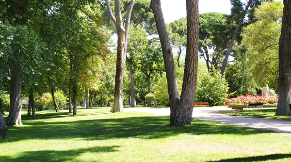 Přehled parku retiro v Madridu — Stock fotografie