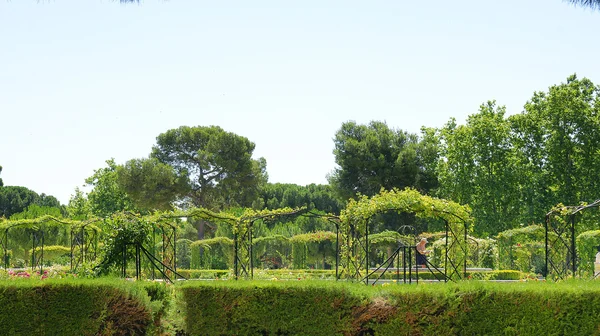 Trädgårdar av el retiro i madrid — Stockfoto