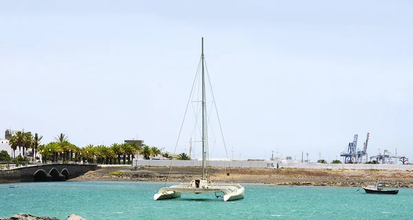 Paisaje marino Arrecife — Foto de Stock