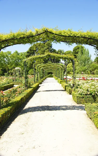 Jardines de El Retiro en Madrid —  Fotos de Stock