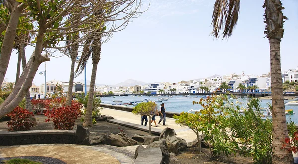 Gardens in Arrecife with port at background — Stock Photo, Image