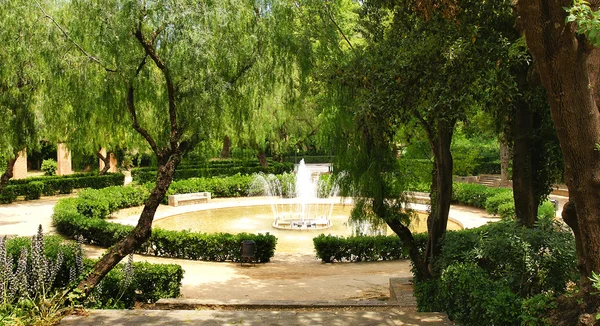 Fonte ornamentale nei giardini della montagna di Montjuic — Foto Stock