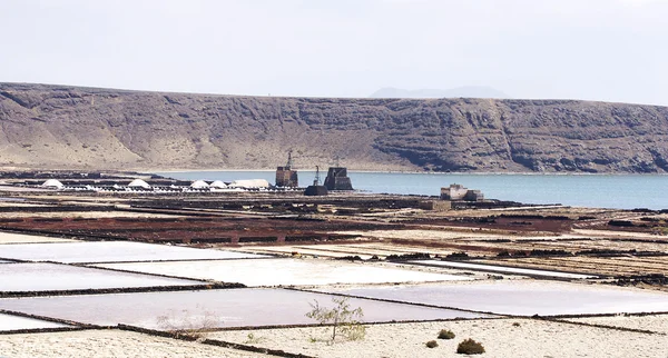 Janubio zoutvlakten — Stockfoto