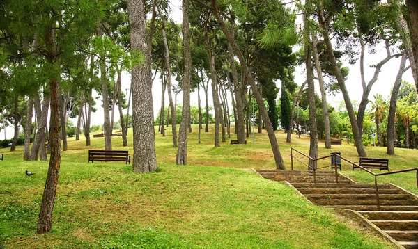 Parque Turo Montaña de Peira — Foto de Stock