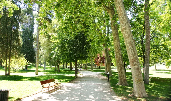 Vista general del Parque del Retiro en Madrid — Foto de Stock