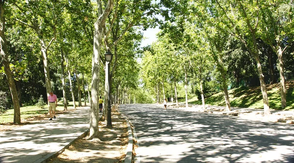 Madrid retiro park genel bakış — Stok fotoğraf