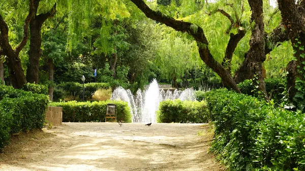 Fonte circular e jardins na montanha de Montjuic — Fotografia de Stock