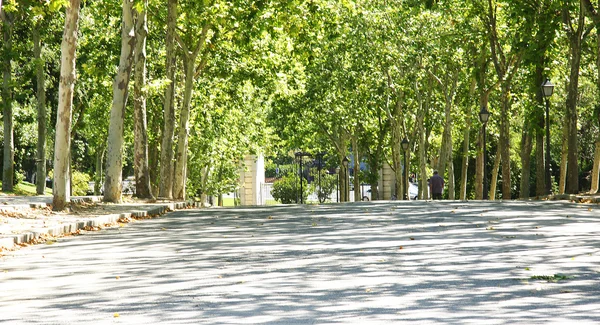 Overview of the Retiro Park in Madrid — Stock Photo, Image