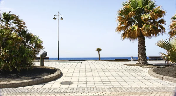 Promenade and park in Arrecife — Stock Photo, Image