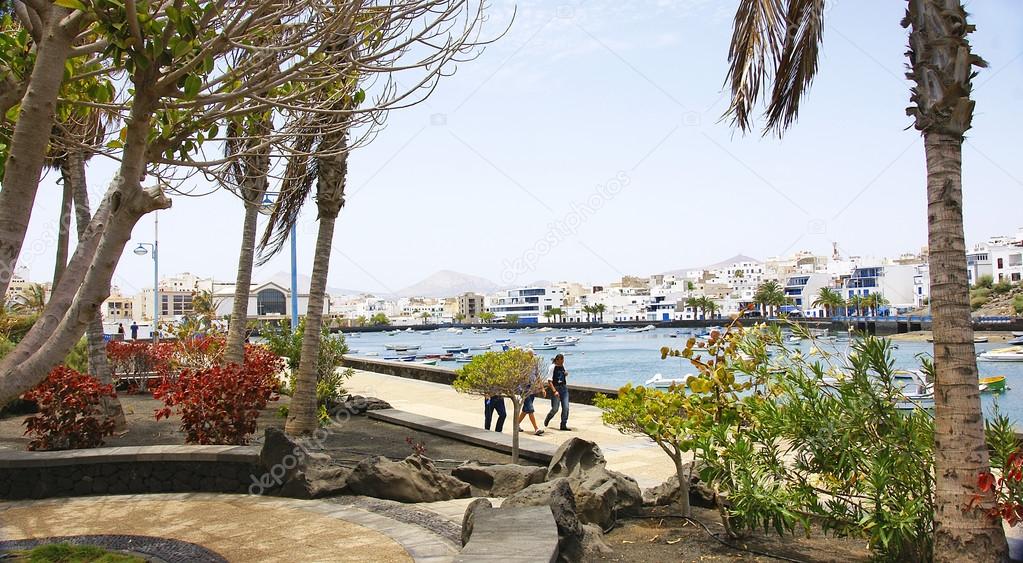 Gardens in Arrecife with port at background