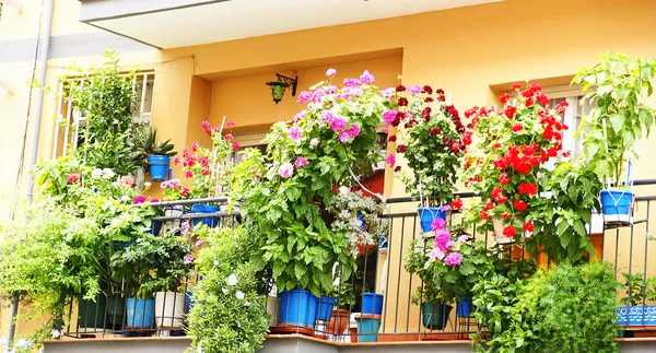 Fachada com varandas e vasos de flores — Fotografia de Stock