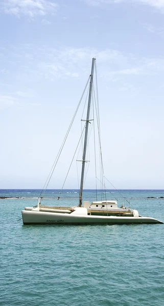 Catamarán en el puerto de Arrecife — Foto de Stock