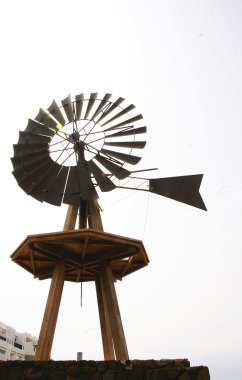 süs mill de costa teguise