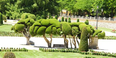 romantik Bahçe el retiro Park