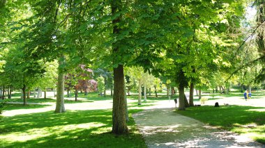 El Retiro Park