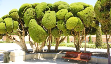 romantik Bahçe el retiro Park