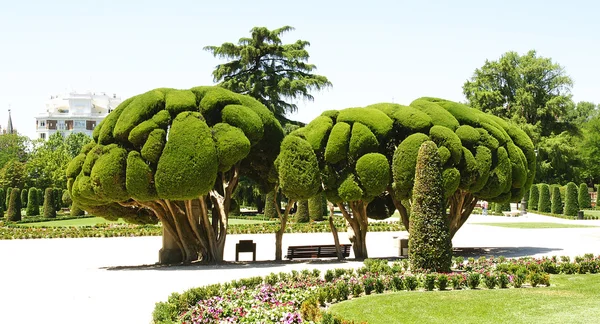 Taman Romantis di Taman El Retiro — Stok Foto