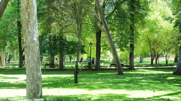 Romantischer Garten im Park von el retiro — Stockfoto