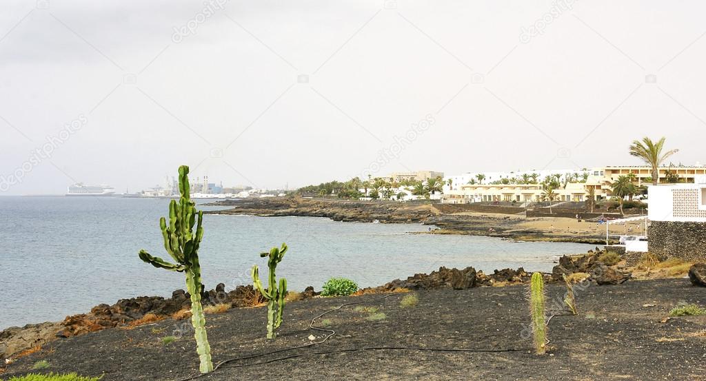 Garden of cactus and other plants in Costa Teguise