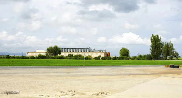 Rice plantation in the Ebro Delta — Stock Photo, Image