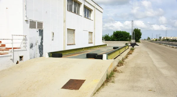 Scale in the Ebro Delta — Stock Photo, Image