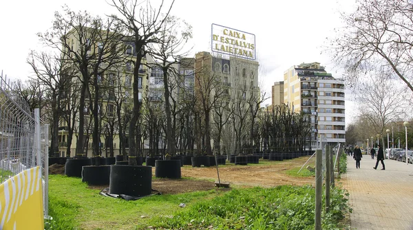 Transplant trees in the Plaza de las Glorias, Barcelona — Stock Photo, Image