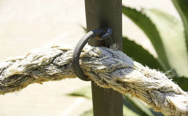 Верёвка для фона и текстур — стоковое фото