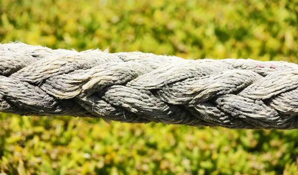 Rope for backgrounds and textures — Stock Photo, Image